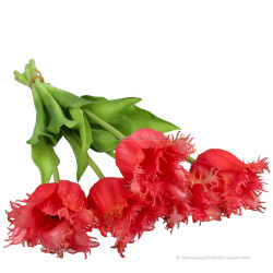 Fringed tulips dark pink 45cm - Bunch of 5 artificial tulips