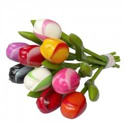 Tulips - Souvenirs • Souvenirs from Holland	