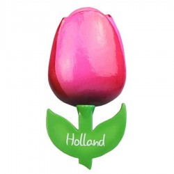 Holland Poly Magnet Tulpen Blumen Niederlande Souvenir 7 cm 
