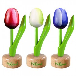 Tulp op voet - Tulpen Souvenirs • Souvenirs from Holland	